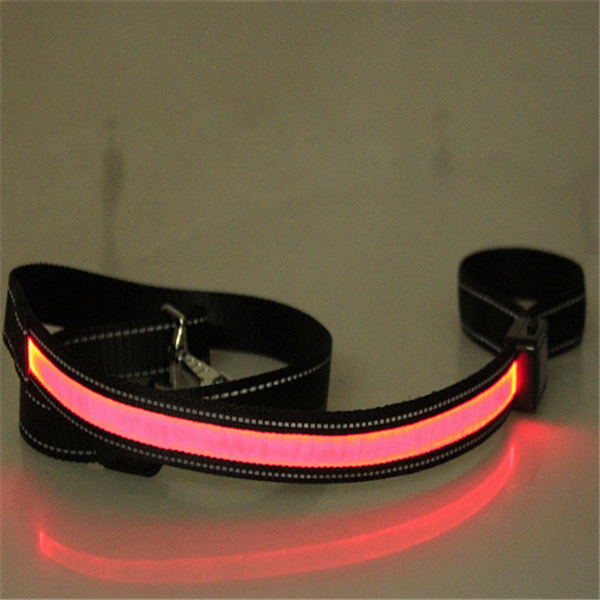 Solar Charging Fluorescent Dog Collar and Leashes