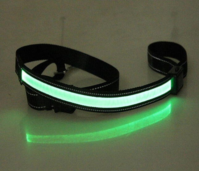 Solar Charging Fluorescent Dog Collar and Leashes