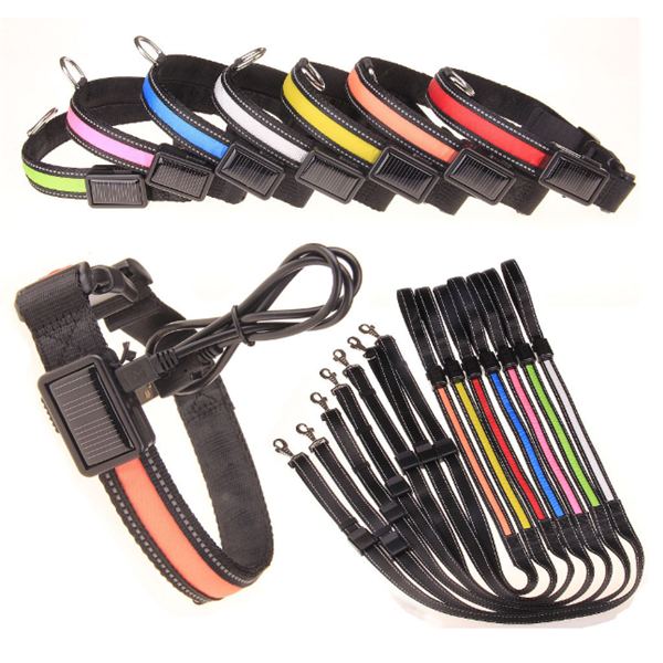 Solar Charging Fluorescent Dog Collar and Leashes