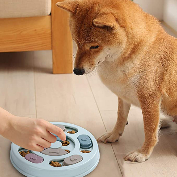 Dog Puzzle Feeding Bowl