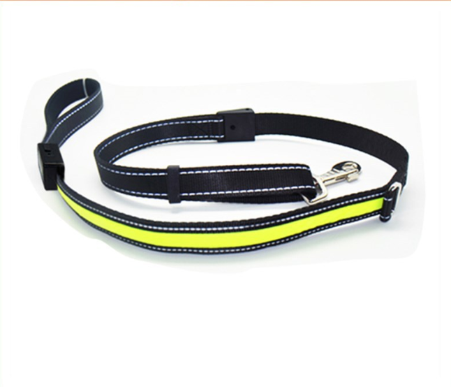 Solar Charging Fluorescent Dog Collar and Leashes