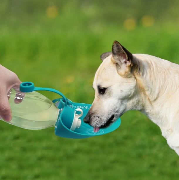 Pet Portable Water Bottle