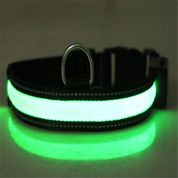 Solar Charging Fluorescent Dog Collar and Leashes