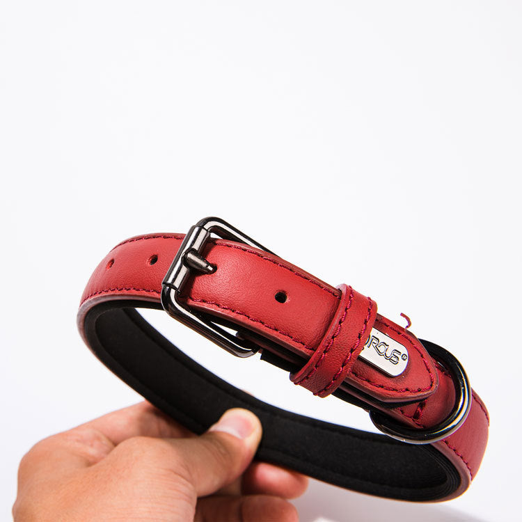 Small Dog Leather Collar