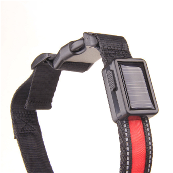 Solar Charging Fluorescent Dog Collar and Leashes