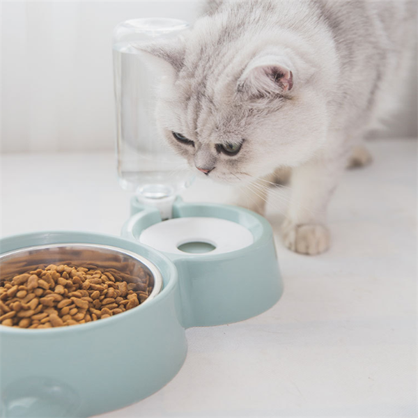 Dog Bowl With Automatic Water Refill