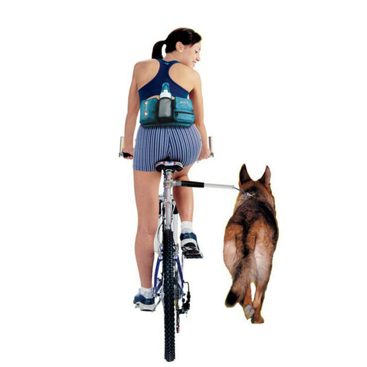 Bicycle Dog Walking Attachment