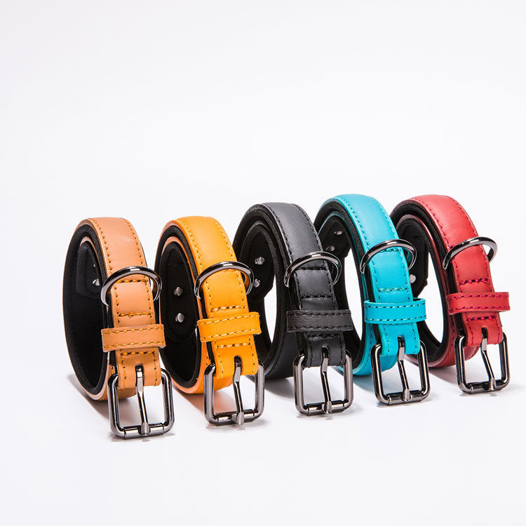 Small Dog Leather Collar