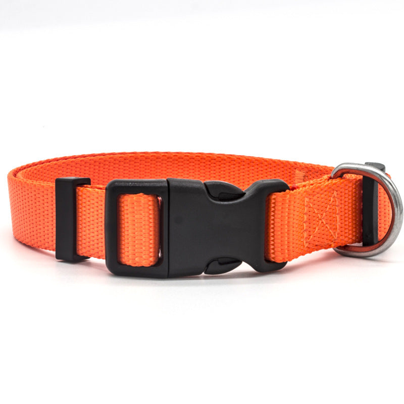 Super Durable Nylon Collar