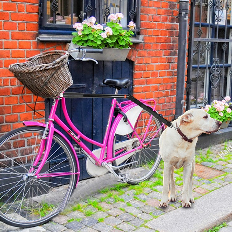 Bicycle Dog Walking Attachment