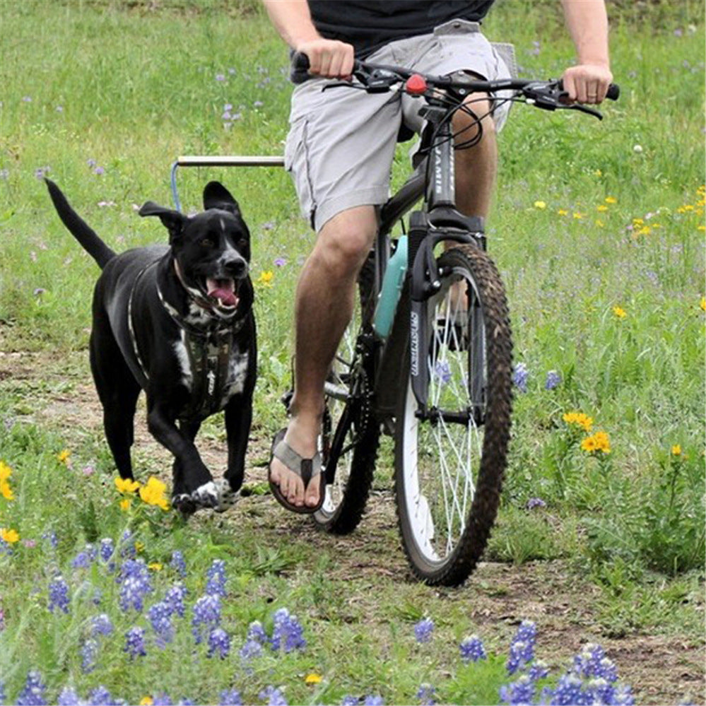 Bicycle Dog Walking Attachment