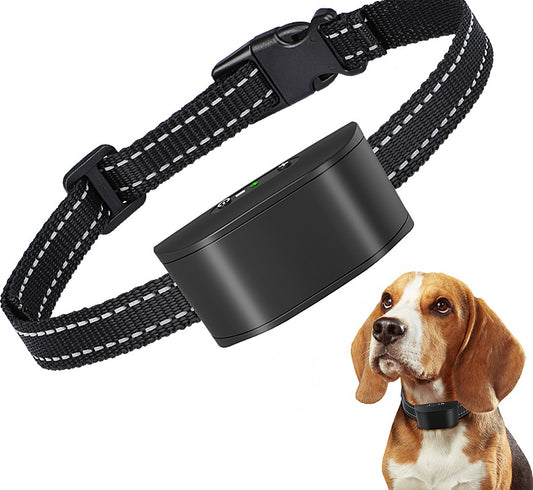 No Shock Dog Collar